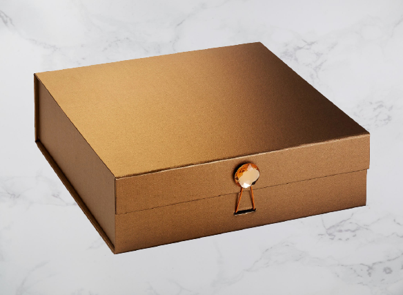 1-124-removebg-preview