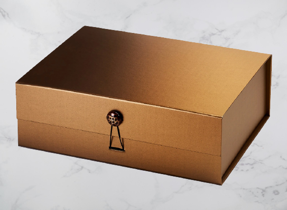 1-127-removebg-preview (1)