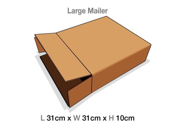 Large Gift Box Mailing Cartons