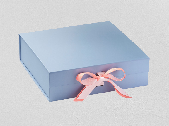 11075PaleBlueLargeLightCoral_PowderPink_58485408-0dda-43a8-9ee2-642693350e3f_2000x-removebg-preview