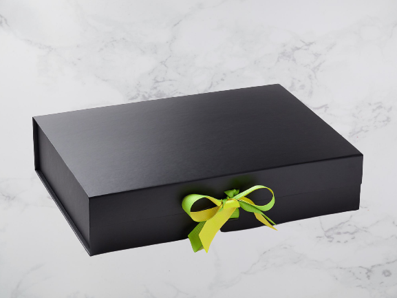 16095BlackA3ShallowJasmineandLemonDoubleBow_f2b4db6f-00ba-438e-90ff-0e1f0055cc9a_2000x-removebg-preview