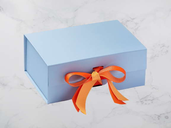 18075PaleBlueA5DMangoandRussetOrangeRibbon_ff5595ba-034d-48a7-8b35-05155b1bfe33_2000x-removebg-preview