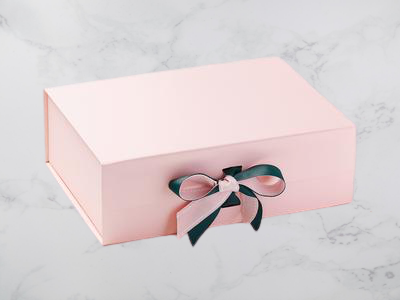 19065PalePinkA4DSpruceGreenDoubleBow_53fe3958-bcf9-40a3-a9da-940c03b403a7_400x-removebg-preview