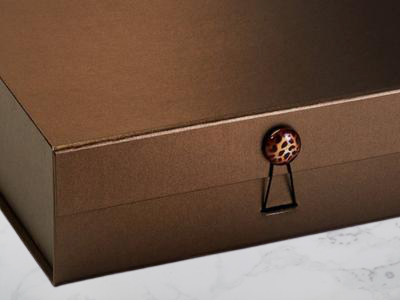 32376LeopardPrintonBronzeLarge_70b45c82-a314-4ff3-b52a-b088fa8041b1_400x-removebg-preview