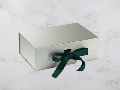 A5_Deep_Silver_with_Spruce_Green_Ribbon_5538f5fc-23c4-44e9-a4cf-9f58c30bade9_400x-removebg-preview