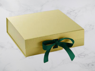 Large-Gold-ForestGreen_Ribbon_400x-removebg-preview