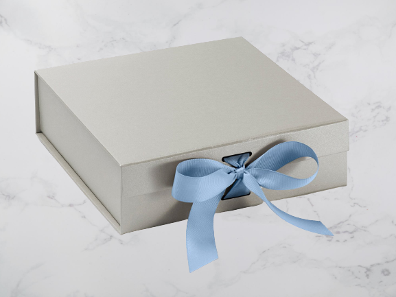 Medium-Silver-French-Blue-Ribbon_2000x-removebg-preview
