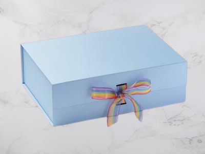 19075PaleBlueA4DRainbowOrganzaRibbon_400x-removebg-preview