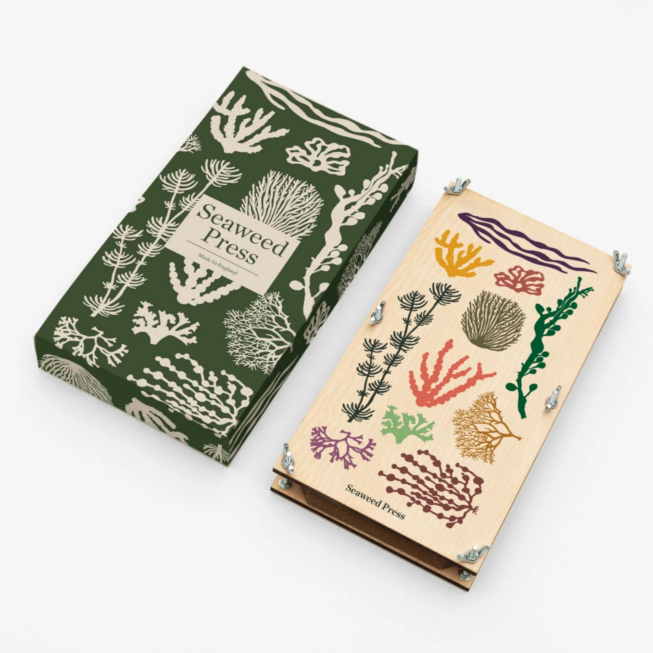 Seaweed Packaging: The Future of Sustainable Custom Boxes