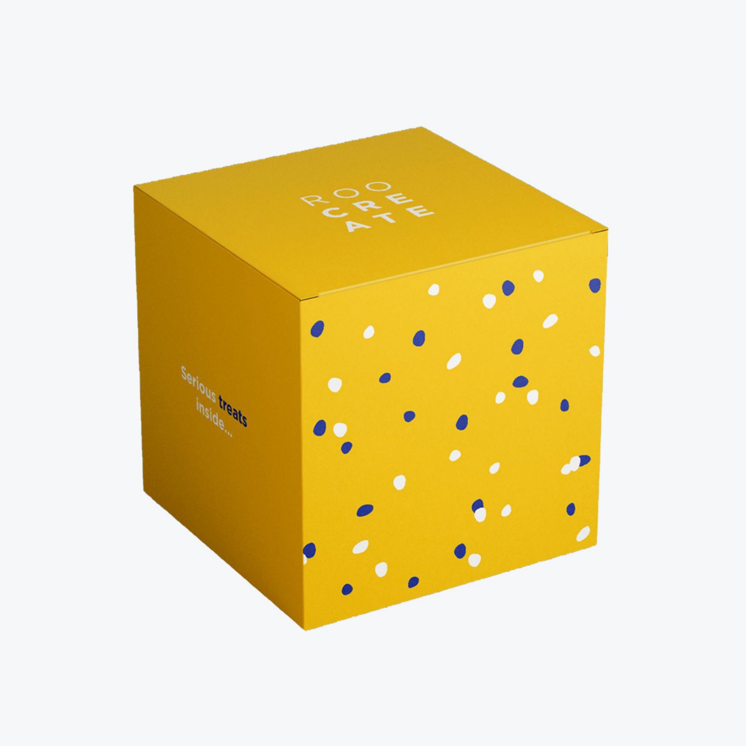 White Corrugated Packaging Boxes-2